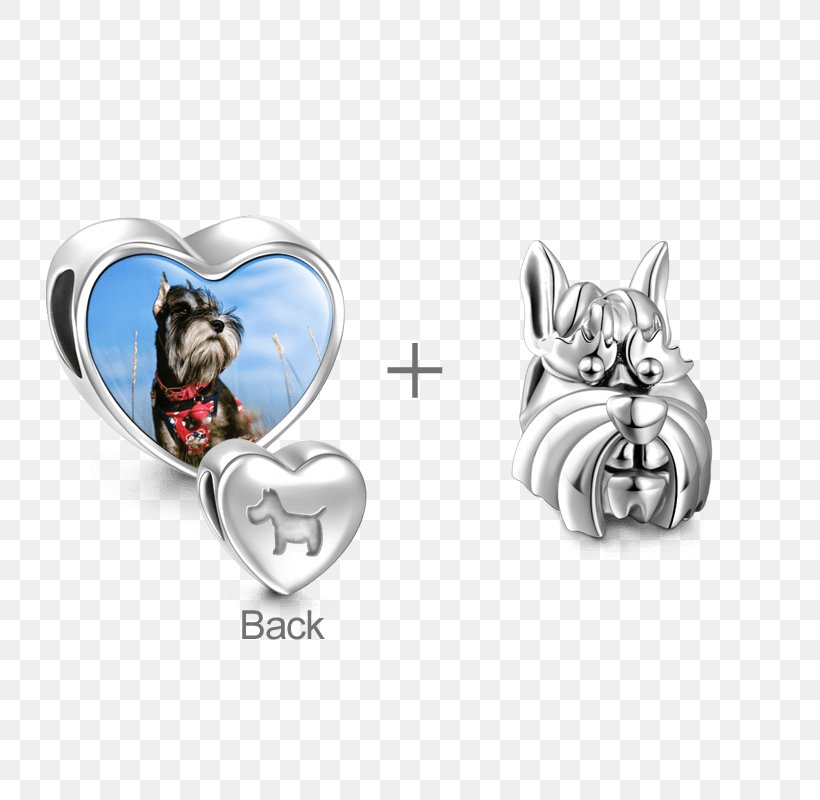 Earring Charm Bracelet Jewellery Charms & Pendants, PNG, 800x800px, Watercolor, Cartoon, Flower, Frame, Heart Download Free