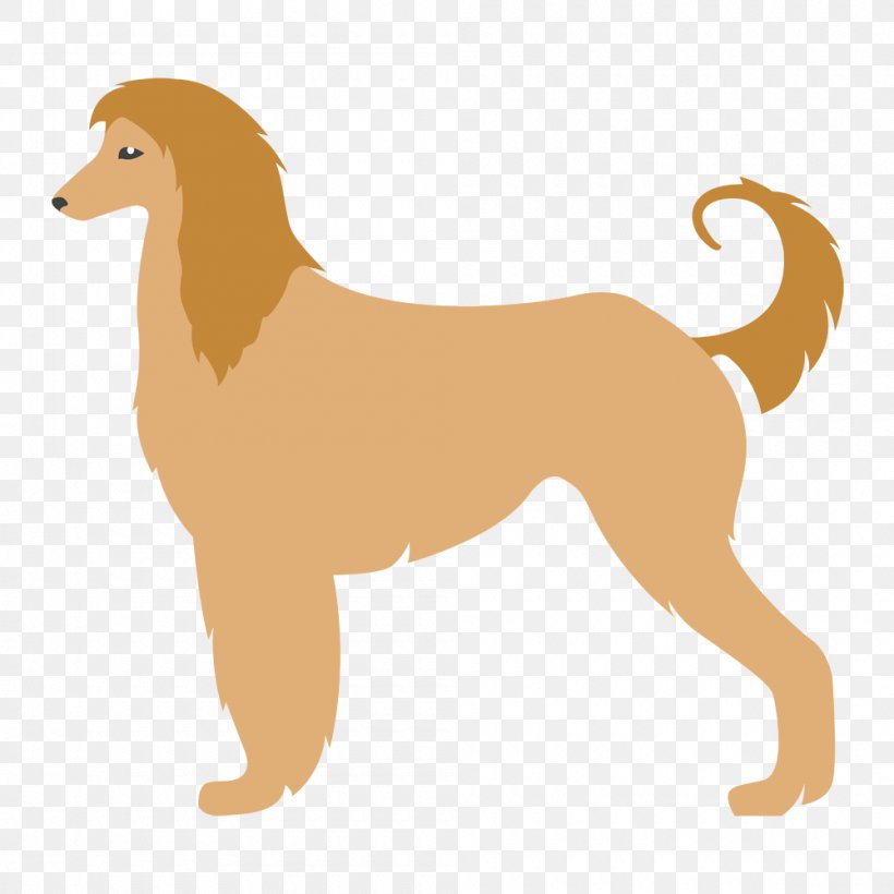 Afghan Hound Canaan Dog Saluki Kuchi Dog Scottish Deerhound, PNG, 1000x1000px, Afghan Hound, Breed, Canaan Dog, Carnivoran, Cat Like Mammal Download Free