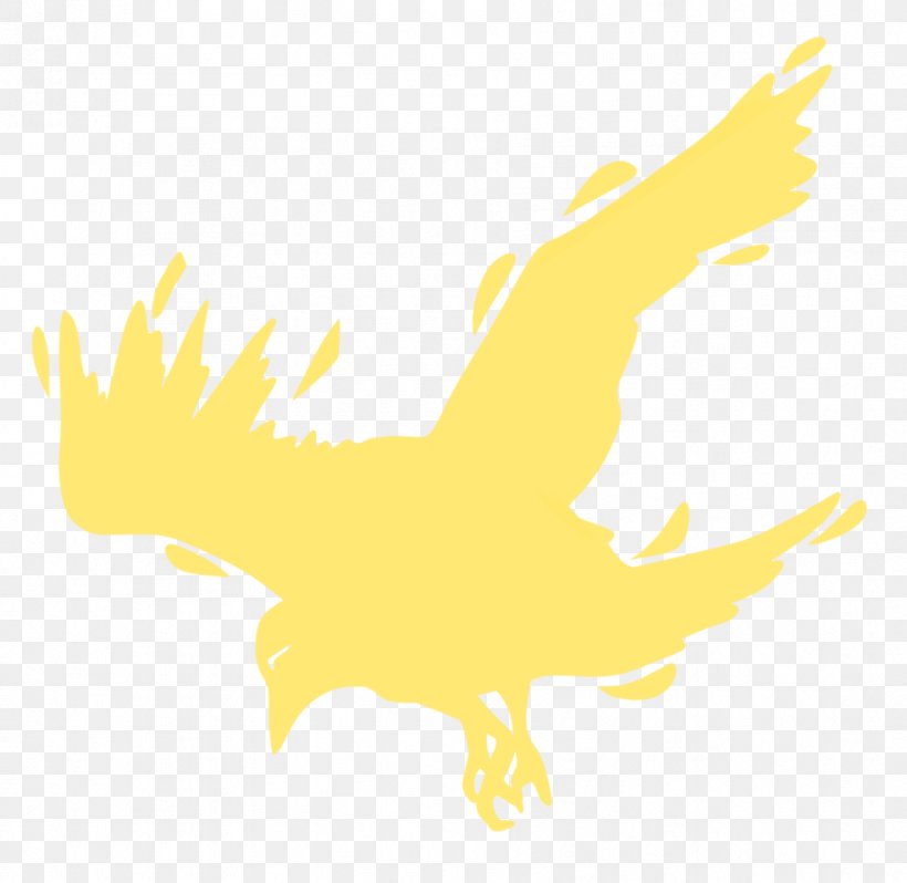 Eagle Beak Bird Clip Art, PNG, 906x882px, Eagle, Art, Beak, Bird, Bird Of Prey Download Free