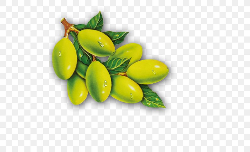 Olive Leaf Olive Oil Green, PNG, 500x500px, Olive, Cooking Oil, Food, Fruit, Green Download Free