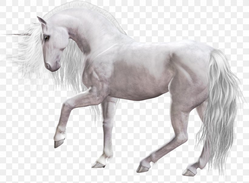 Pony Mustang Unicorn Pegasus Horse, PNG, 1609x1189px, Pony, Animal Figure, Blackandwhite, Drawing, Equestria Download Free