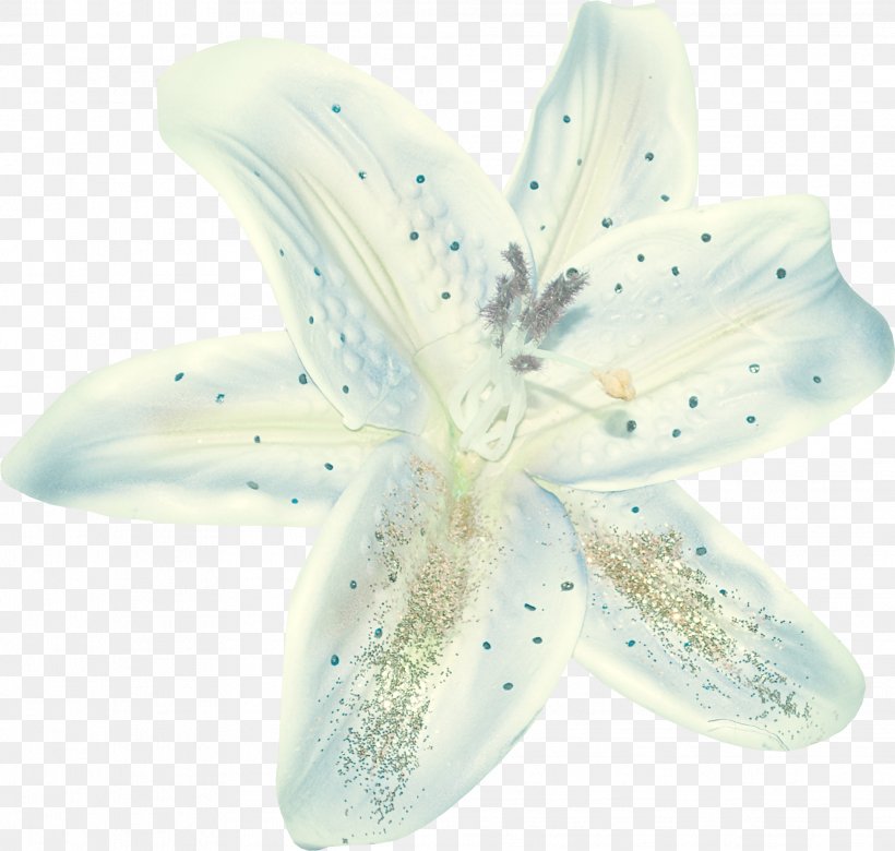 Flower Petal Blog Naver, PNG, 2029x1931px, Flower, Blog, Daum, Lilium Stargazer, Naver Download Free