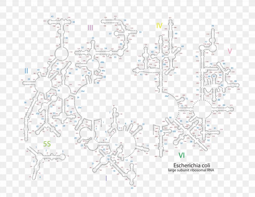 Line Point Pattern, PNG, 6471x5000px, Point, Area, Diagram, Map, Tree Download Free