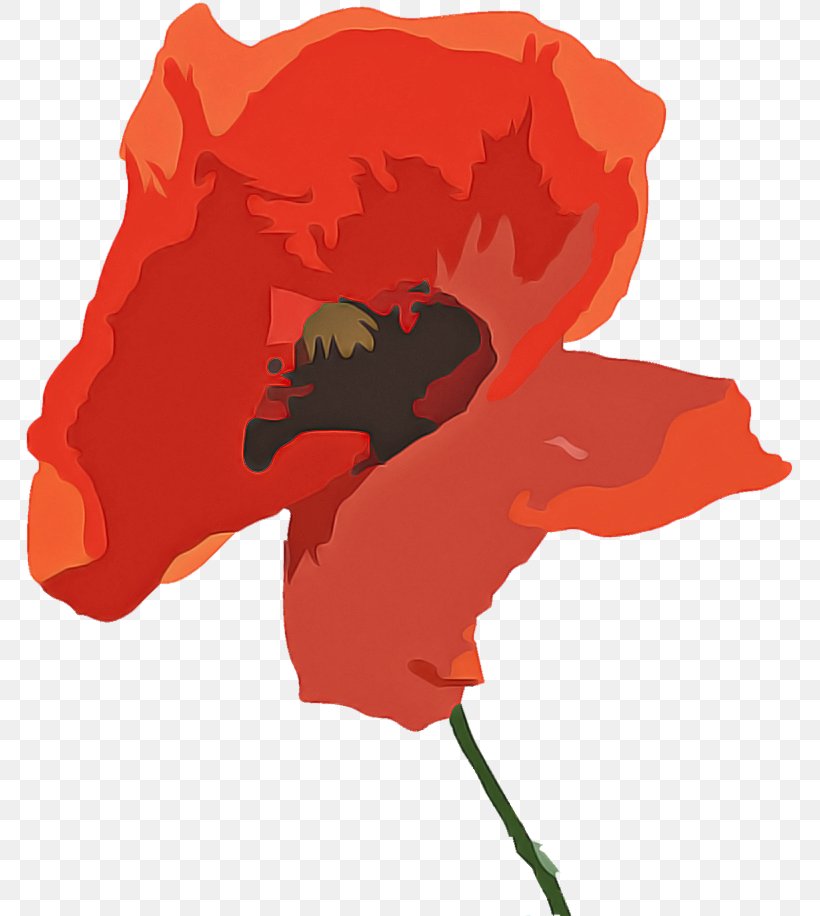 Orange, PNG, 772x916px, Red, Coquelicot, Corn Poppy, Flower, Orange Download Free