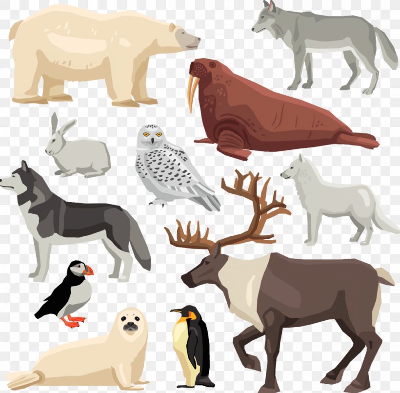 Polar Bear Cartoon, PNG, 996x978px, Animal, Ancient Dog Breeds, Animal Figure, Bird, Hare Download Free
