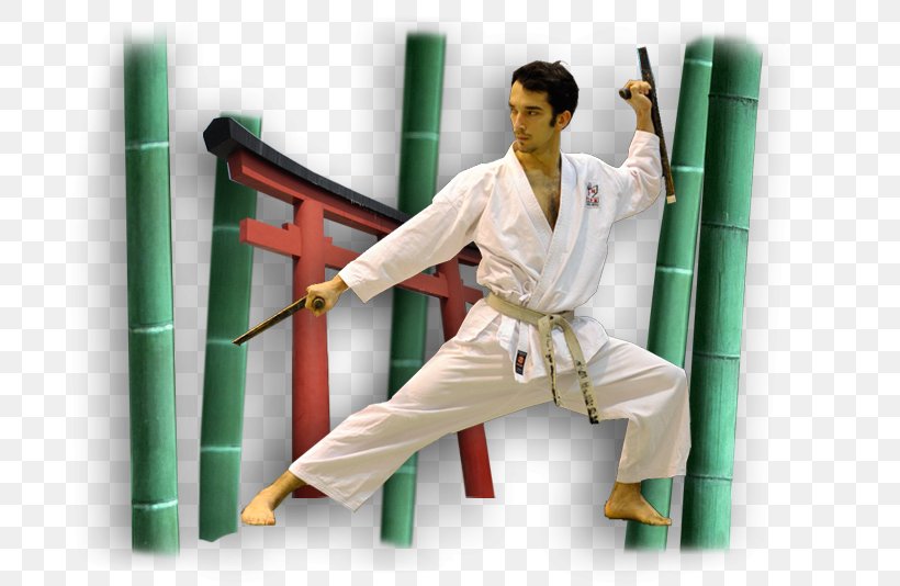 Karate Uniform, PNG, 739x534px, Karate, Joint, Mat, Uniform Download Free