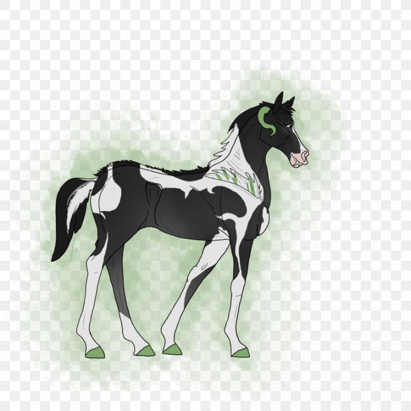 Mustang Foal Stallion Colt Mare, PNG, 894x894px, Mustang, Colt, Foal, Halter, Horse Download Free