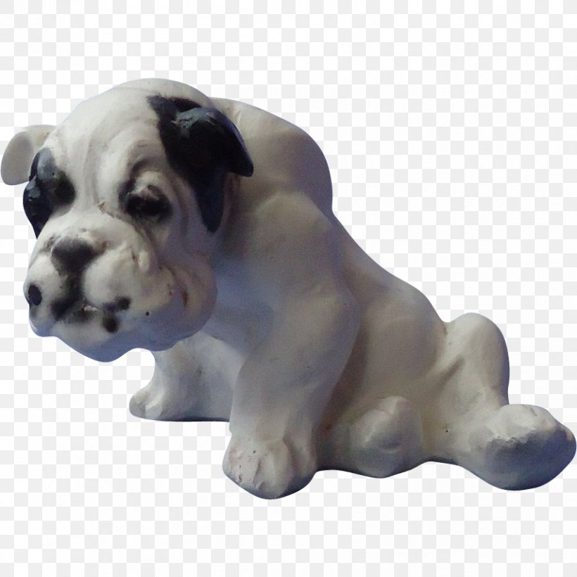Toy Bulldog Olde English Bulldogge Puppy Dog Breed, PNG, 854x854px, Toy Bulldog, Breed, Bulldog, Bulldog Breeds, Carnivoran Download Free