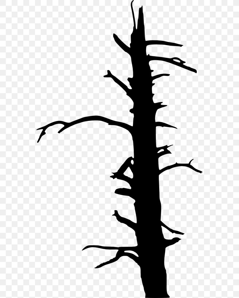 Twig Tree Drawing Clip Art, PNG, 571x1024px, Twig, Artwork, Black, Black And White, Branch Download Free