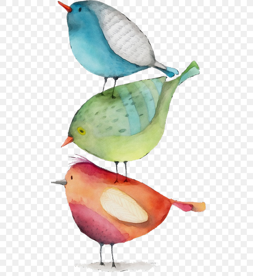 Bird Beak Perching Bird Songbird, PNG, 577x893px, Watercolor, Beak, Bird, Paint, Perching Bird Download Free