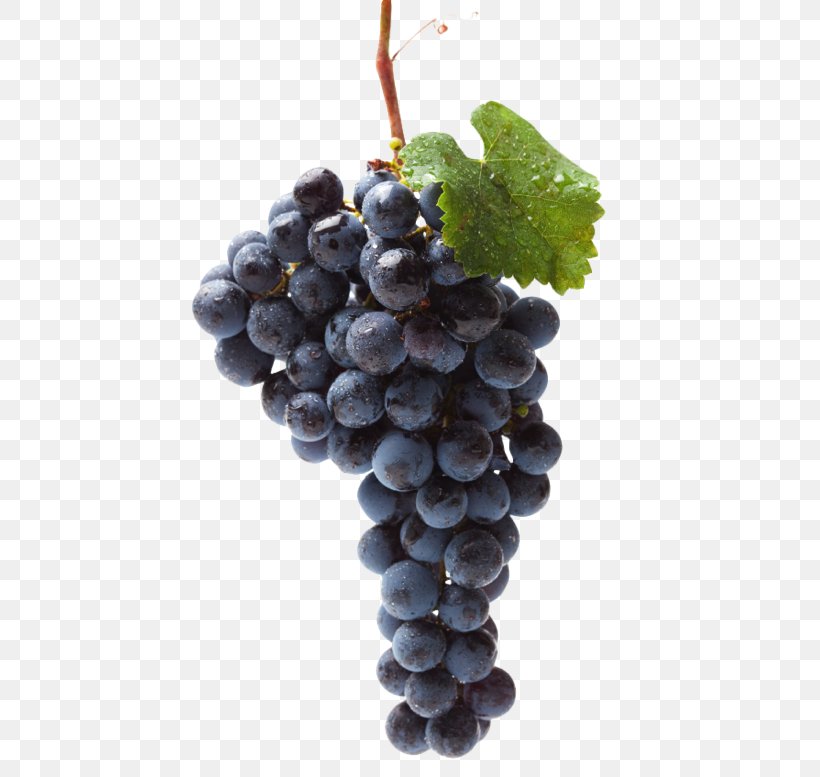 Black Muscat Food Raisin Table Grape, PNG, 519x777px, Muscat, Berry, Black Muscat, Chasselas, Common Grape Vine Download Free