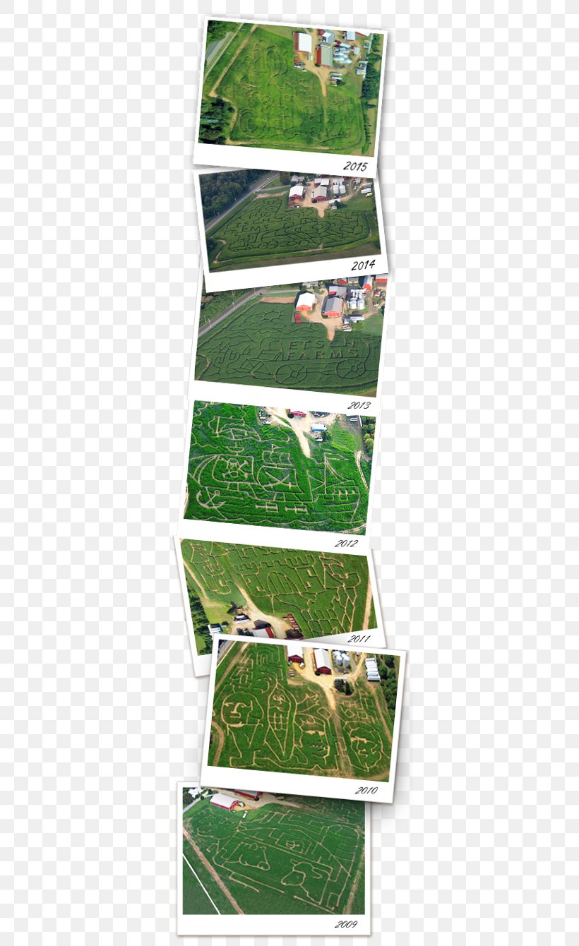 Etsch Farms Corn Maze Opening Day! Hayride, PNG, 350x1340px, Corn Maze, Farm, Grass, Grasses, Haunted Attraction Download Free
