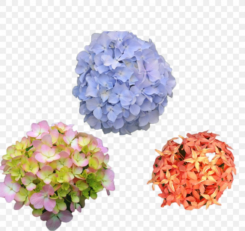 French Hydrangea Cut Flowers Petal, PNG, 1596x1507px, French Hydrangea, Artificial Flower, Common Sunflower, Cornales, Cut Flowers Download Free