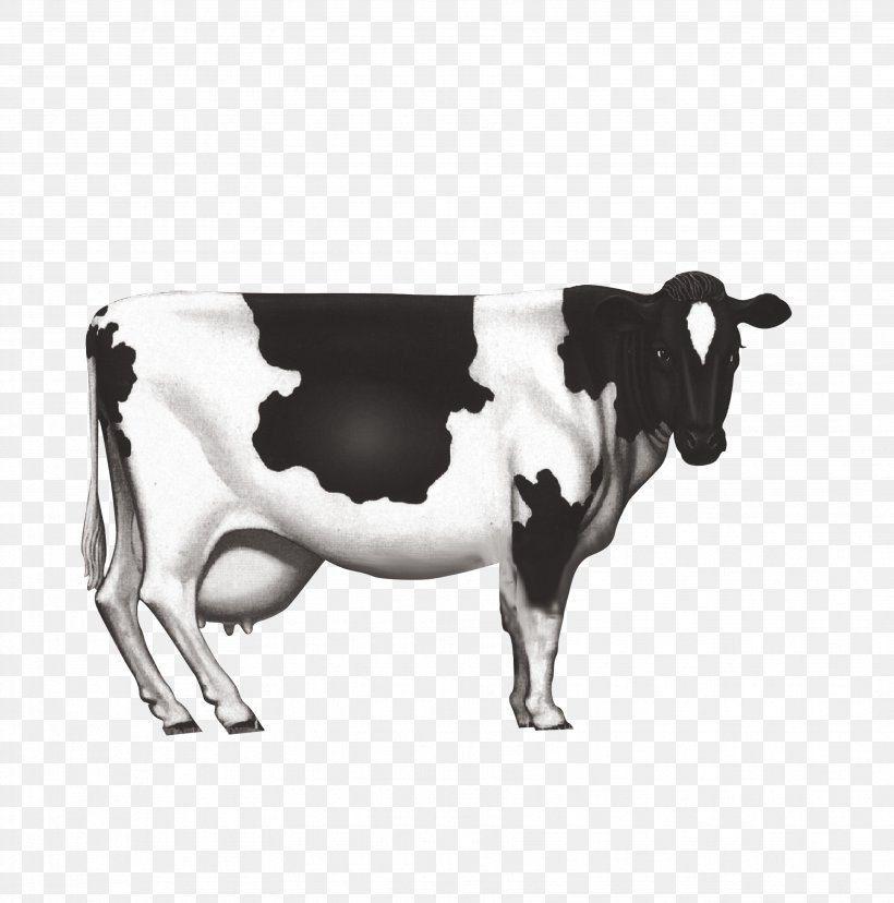 Holstein Friesian Cattle Dairy Cattle Milk Calf, PNG, 3508x3543px, Holstein Friesian Cattle, Black And White, Bull, Calf, Cattle Download Free