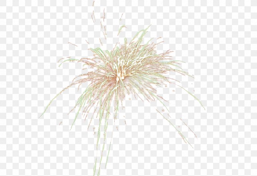 Lantern Festival Fireworks, PNG, 1024x703px, Fireworks, Chinese New Year, Explosion, Festival, Flower Download Free