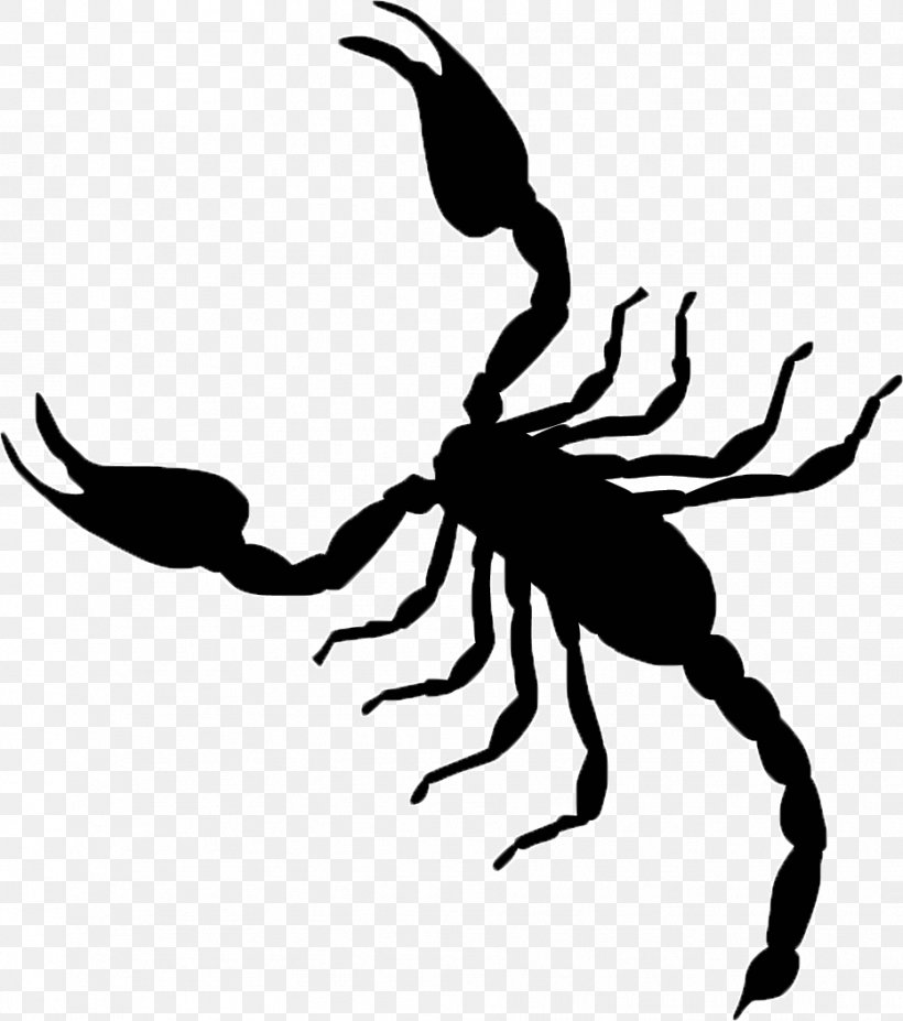 Scorpion Vector Graphics Clip Art Illustration Image, PNG, 932x1054px ...