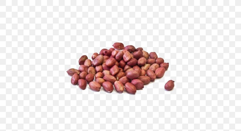 Peanut Hazelnut Nuts Vegetarian Cuisine, PNG, 445x445px, Peanut, Assortment Strategies, Azuki Bean, Bean, Commodity Download Free