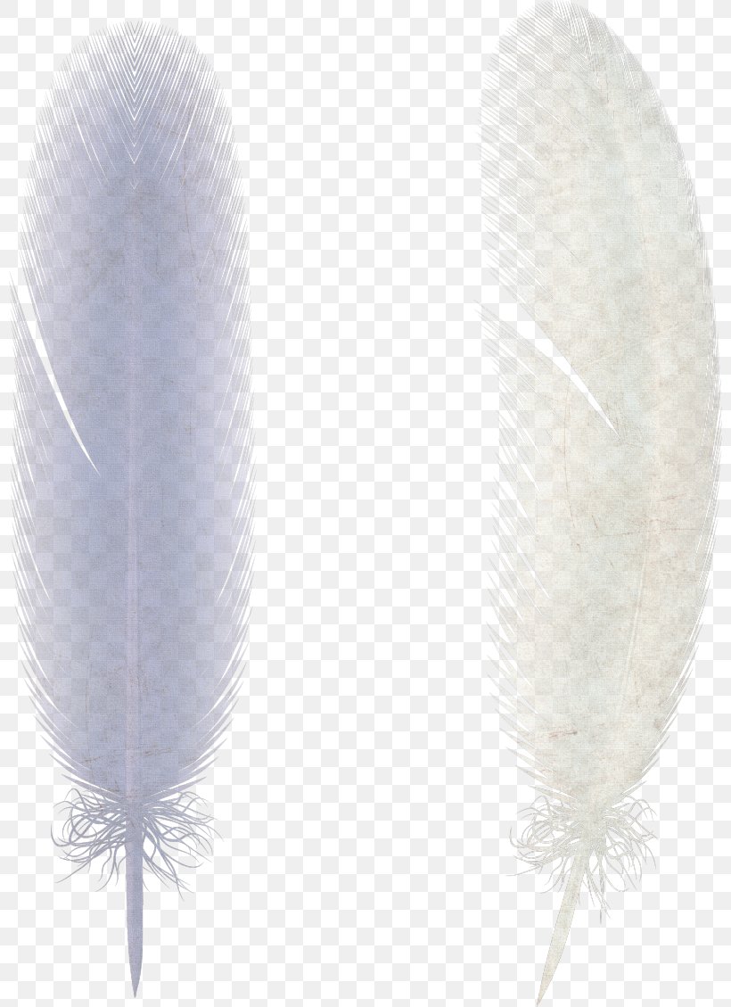 Feather Illustration Clip Art Image Design, PNG, 800x1129px, Feather, Cartoon, Couple, Dreamcatcher, Home Page Download Free