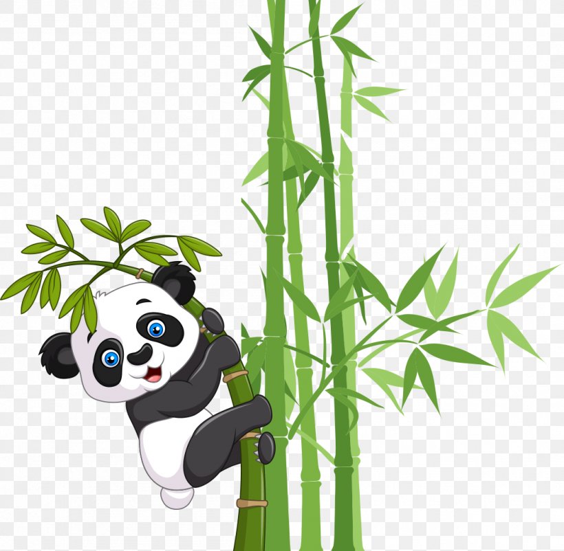 Giant Panda Bear Cuteness, PNG, 1052x1030px, Giant Panda, Bamboo, Bear, Branch, Carnivoran Download Free