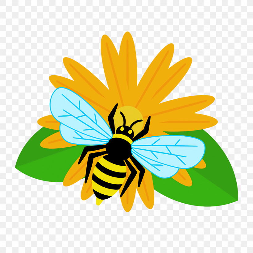 Honey Bee Bees Yellow Honey, PNG, 1440x1440px, Honey Bee, Bees, Honey, Yellow Download Free