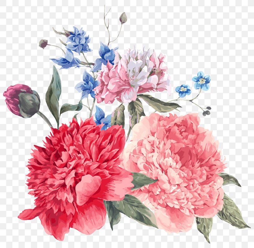 Peony Flower Royalty-free Illustration, PNG, 800x800px, Peony, Artificial Flower, Carnation, Cut Flowers, Floral Design Download Free