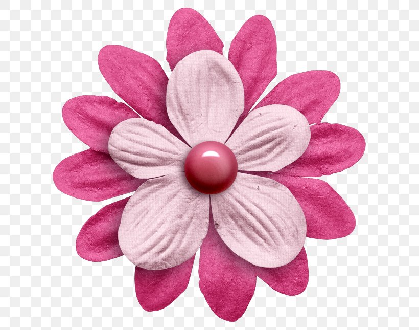 Petal Cut Flowers Pink M, PNG, 643x645px, Petal, Blossom, Cut Flowers, Flower, Magenta Download Free