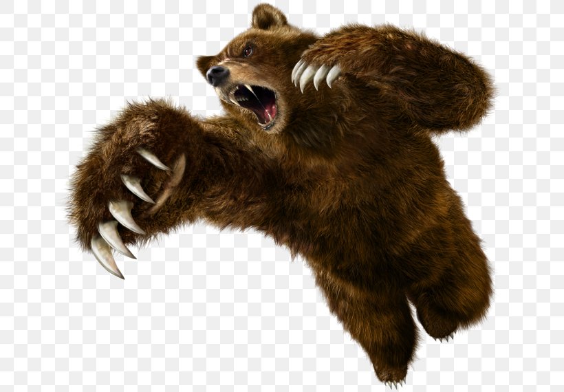 Tekken 6: Bloodline Rebellion Tekken 7 Tekken 4 Tekken Tag Tournament 2, PNG, 675x570px, Tekken 6, Arcade Game, Bear, Carnivoran, Claw Download Free