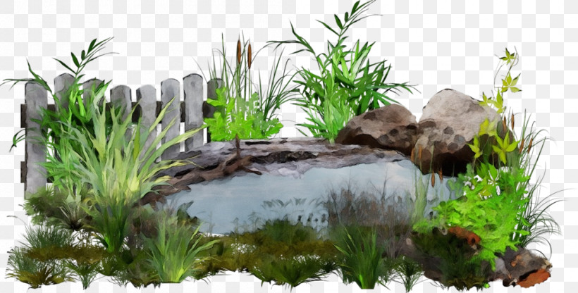 Nature Vegetation Pond Grass Natural Landscape, PNG, 999x507px, Watercolor, Grass, Landscape, Natural Landscape, Nature Download Free