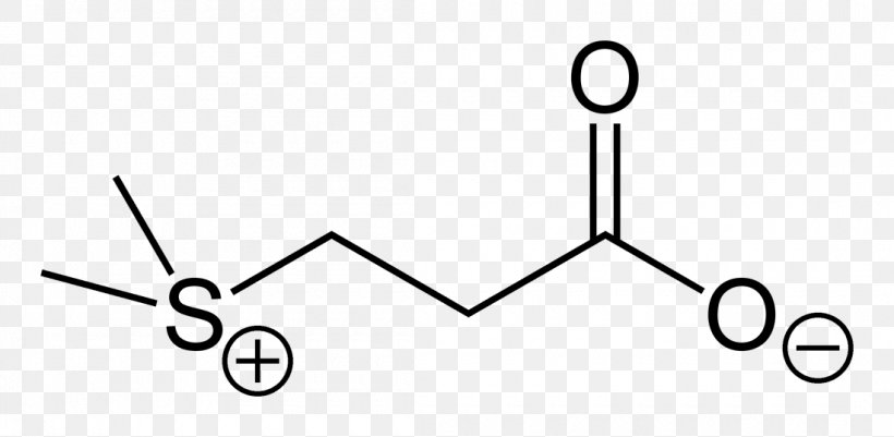 Amino Acid Peroxyacetyl Nitrate Peroxyacyl Nitrates, PNG, 1100x538px, Amino Acid, Acid, Acyl Group, Alanine, Area Download Free