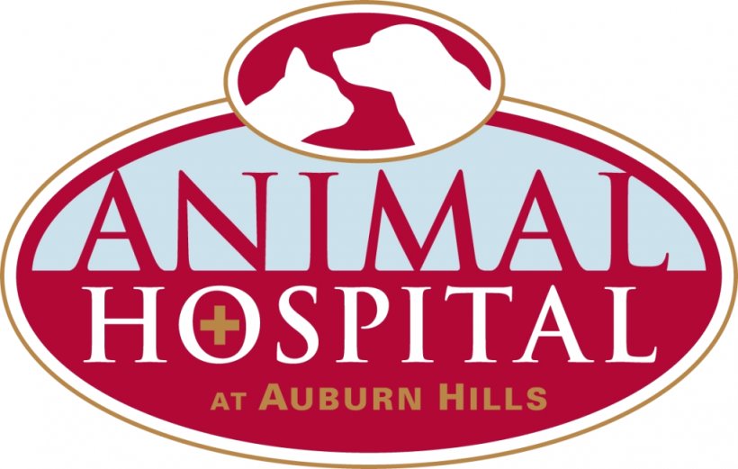 Animal Hospital At Auburn Hills Veterinarian Boxer Chisholm Trail Animal Hospital, PNG, 1024x651px, Veterinarian, Animal, Area, Boxer, Brand Download Free