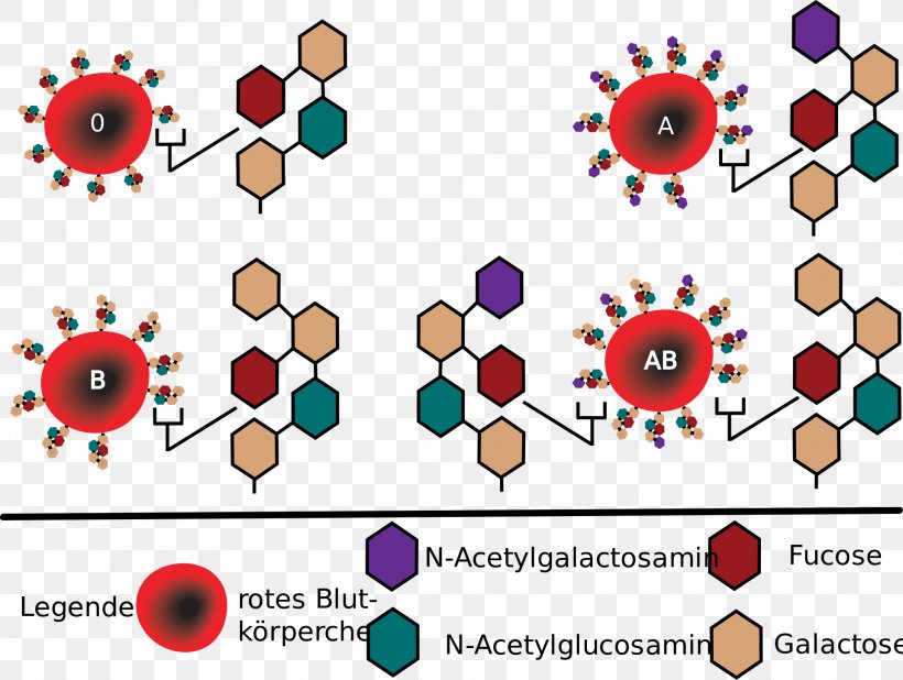 Blood Type Human Blood Group Systems Hh Blood Group Antigen, PNG, 1920x1448px, Watercolor, Cartoon, Flower, Frame, Heart Download Free