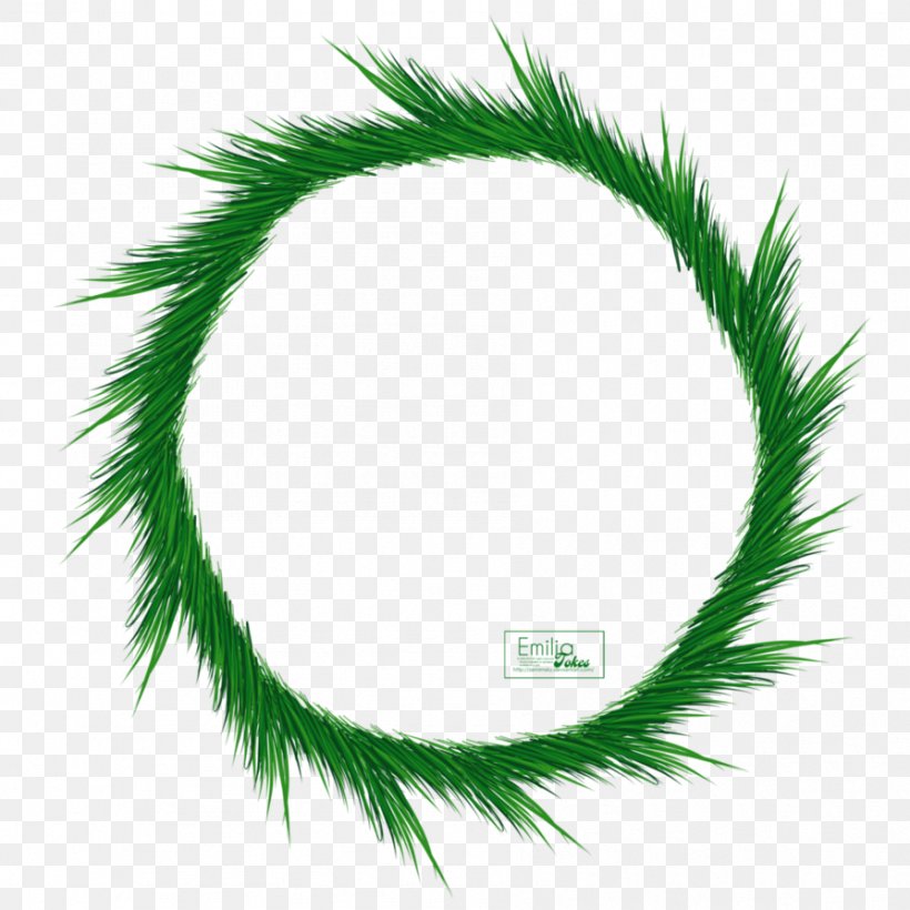 Green Circle Leaf, PNG, 894x894px, Green, Branch, Christmas Decoration, Christmas Ornament, Computer Software Download Free