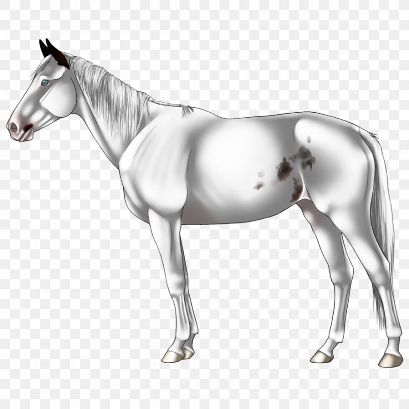 Mule Foal Stallion Halter Pony, PNG, 900x900px, Mule, Animal Figure, Black And White, Bridle, Colt Download Free