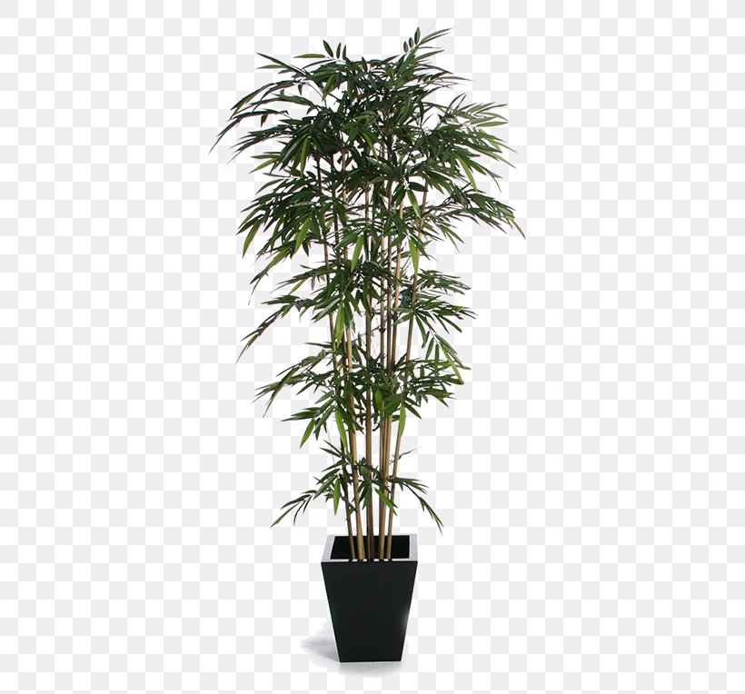 Plants, Plants And More Houseplant Artificial Flower, PNG, 400x764px, Plants Plants And More, Arecales, Artificial Flower, Bamboo, Box Download Free