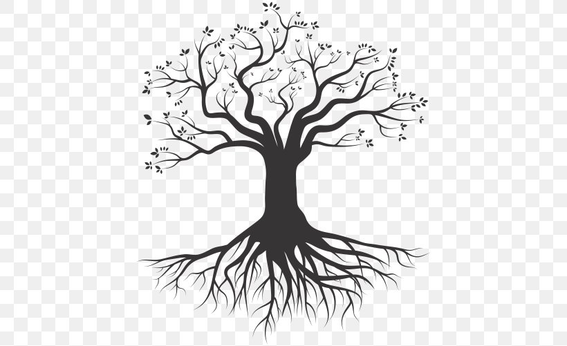Tree Root Silhouette Drawing, PNG, 501x501px, Tree, Art, Artwork, Black And White, Branch Download Free