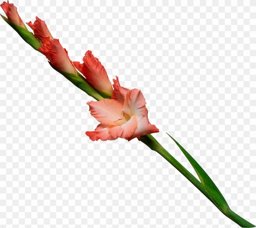 Artificial Flower Plant Stem Flower Bouquet Wedding, PNG, 1200x1070px, Flower, Artificial Flower, Bride, Bud, Cut Flowers Download Free