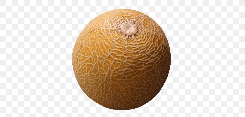 Cantaloupe Alien Fruit: Book 1 Of The Newark Series Honeydew Auglis, PNG, 400x393px, Cantaloupe, Animated Film, Auglis, Berry, Cucumber Gourd And Melon Family Download Free
