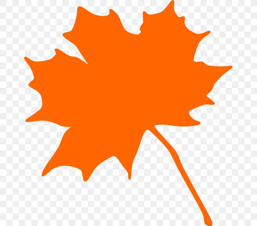 Maple Leaf, PNG, 665x720px, Leaf, Maple Leaf, Orange, Plane, Plant Download Free