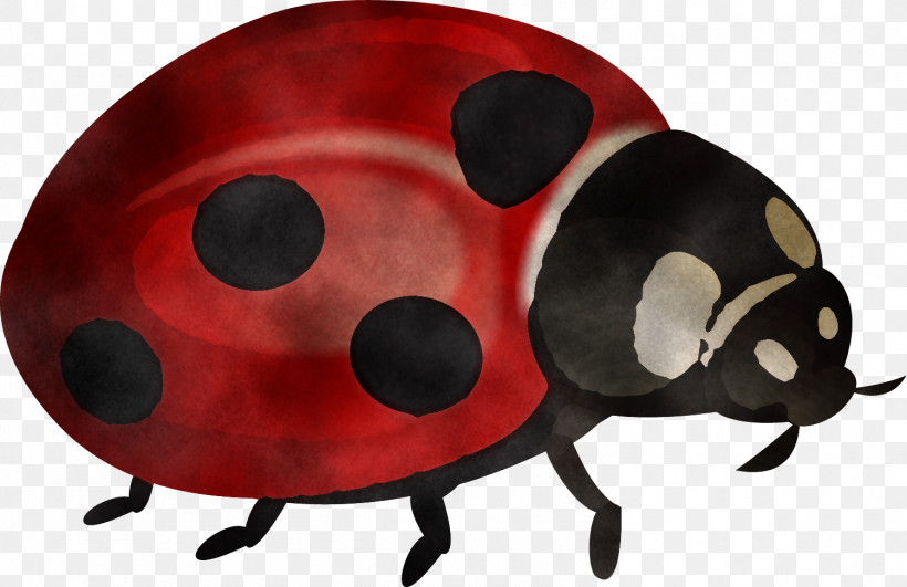 Ladybug, PNG, 1501x972px, Ladybug, Beetle, Insect, Pest, Snout Download Free