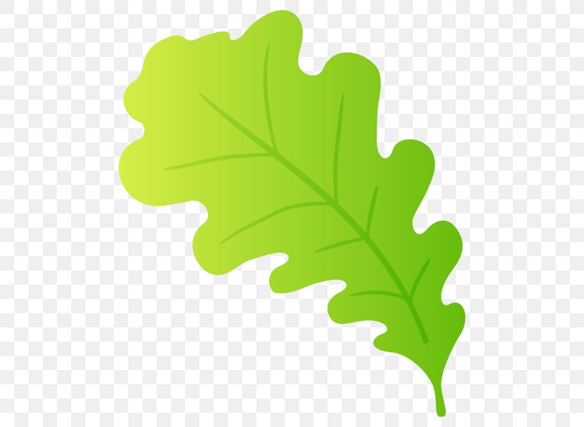 Leaf Plant Stem Tree, PNG, 600x600px, Leaf, Green, Plant, Plant Stem, Tree Download Free
