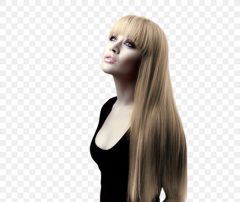 Long Hair Hair Coloring Capelli Hairstyle, PNG, 461x692px, Long Hair, Bangs, Black Hair, Blond, Brown Hair Download Free