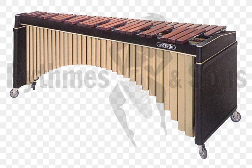 Metallophone Marimba こおろぎ社 Octave Xylophone, PNG, 800x549px, Watercolor, Cartoon, Flower, Frame, Heart Download Free