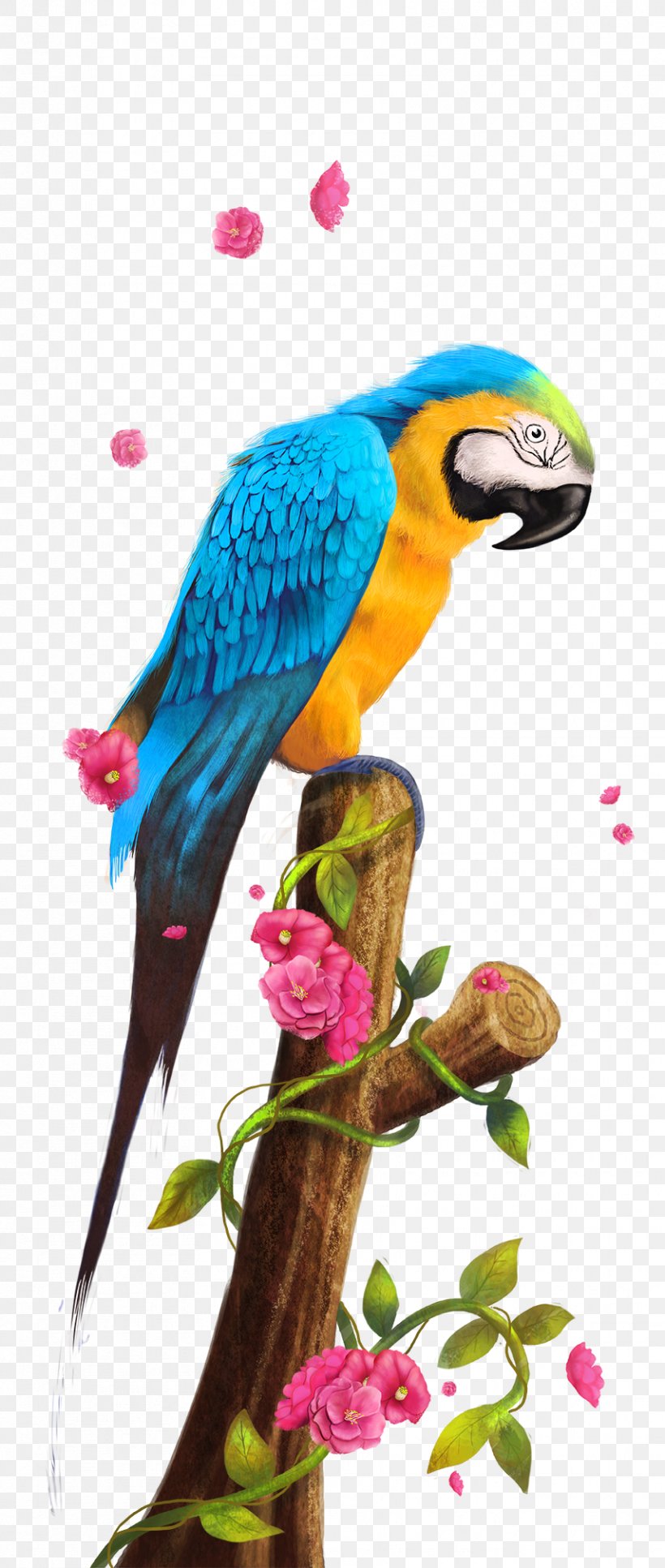 Parrot Bird Paper, PNG, 855x2016px, Parrot, Beak, Bird, Common Pet Parakeet, Fauna Download Free