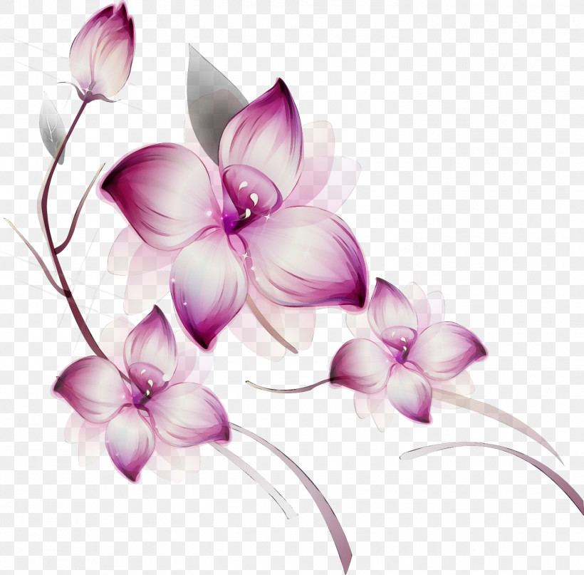 Violet Lilac Purple Petal Flower, PNG, 1500x1478px, Watercolor, Cooktown Orchid, Dendrobium, Flower, Herbaceous Plant Download Free