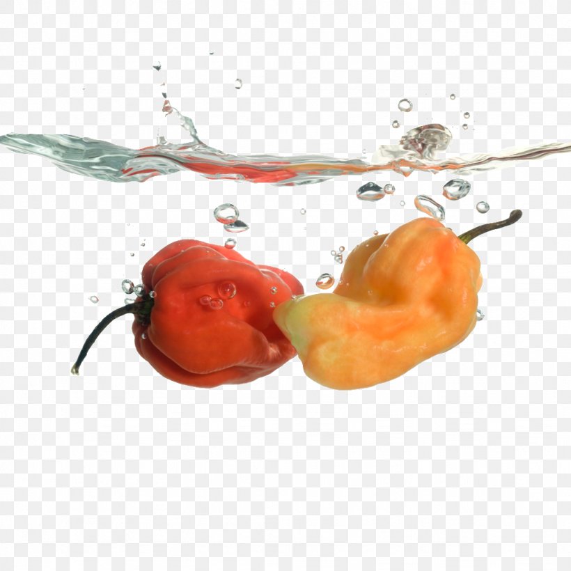 Chili Pepper Bell Pepper Drop, PNG, 1024x1024px, Chili Pepper, Auglis, Bell Pepper, Bell Peppers And Chili Peppers, Black Pepper Download Free