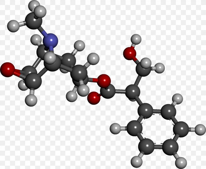 Hyoscine Anesthesia Pharmaceutical Drug Atropine, PNG, 1460x1199px, Hyoscine, Anesthesia, Anticholinergic, Atropine, Berry Download Free