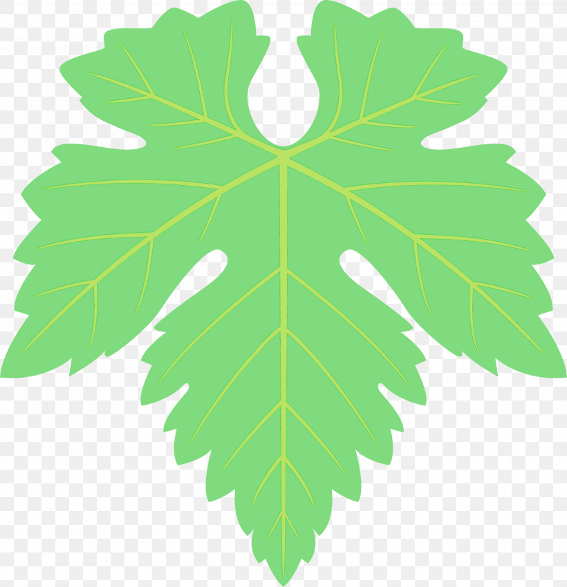 Maple Leaf, PNG, 2893x3000px, Grapes Leaf, Black Maple, Flower, Grape Leaves, Green Download Free