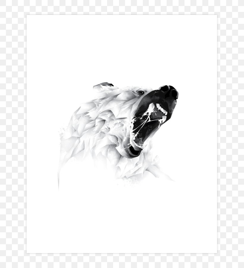 Polar Bear Grizzly Bear Drawing Canidae, PNG, 740x900px, Bear, Animal, Art, Beak, Black And White Download Free