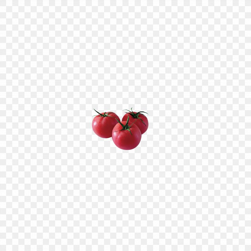 Red Tomato Vegetable Rouge Tomate, PNG, 3543x3543px, Red, Chart, Cherry, Fruit, Gratis Download Free