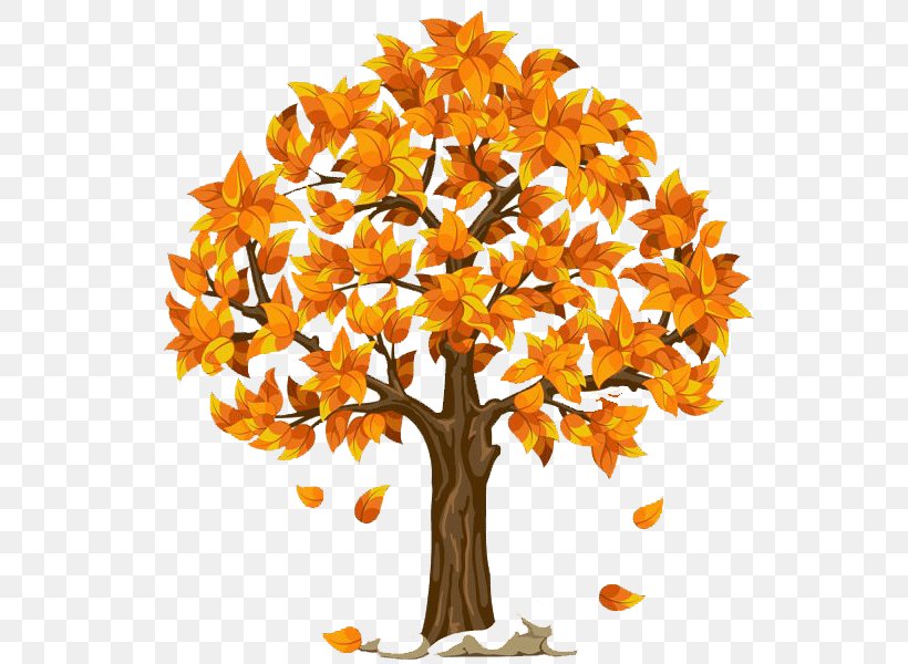 Tree Autumn Clip Art, PNG, 555x600px, Tree, Autumn, Autumn Leaf Color, Branch, Cut Flowers Download Free